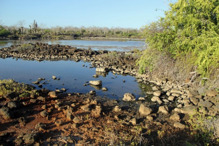 8 places to see on Santa Cruz Galapagos Ecuador