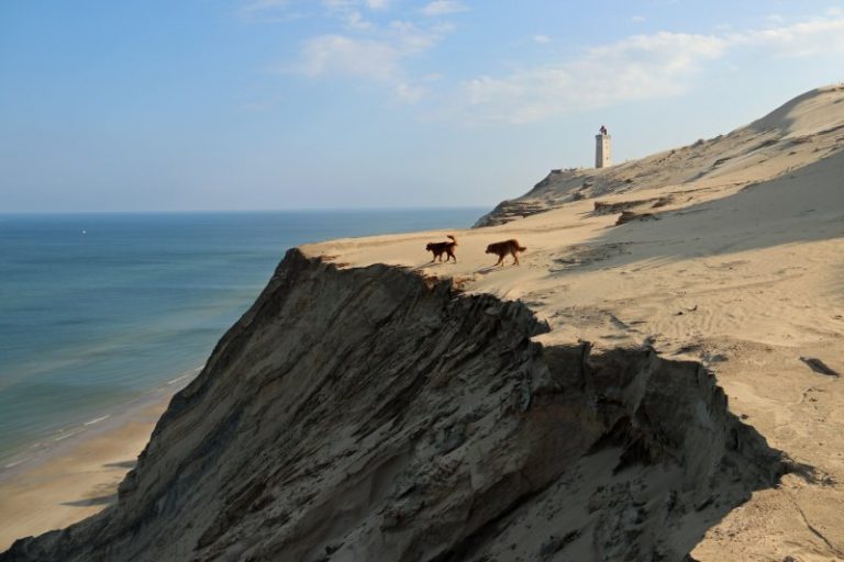 The best beaches at the North Sea coast of Jutland Denmark